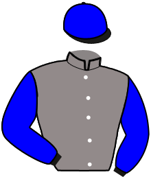 Casaque du n°6
