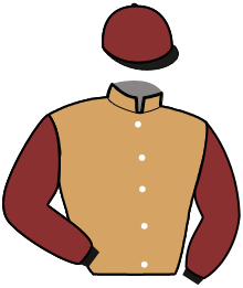 Casaque du n°9