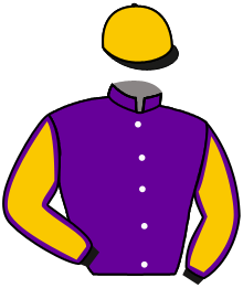 Casaque du n°8