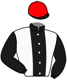 Casaque du n°8