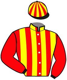 Casaque du n°11