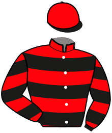 Casaque du n°2