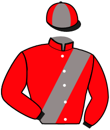 Casaque du n°6