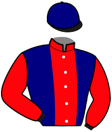 Casaque du n°8