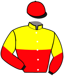 Casaque du n°11