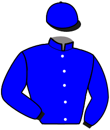Casaque du n°12