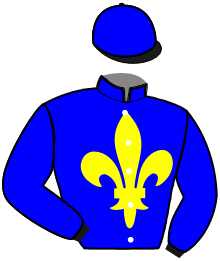 Casaque du n°13