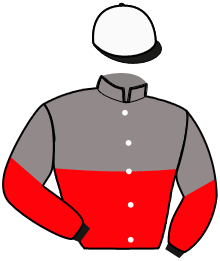 Casaque du n°15