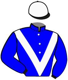 Casaque du n°3