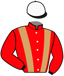 Casaque du n°5