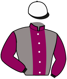 Casaque du n°7