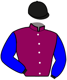 Casaque du n°6