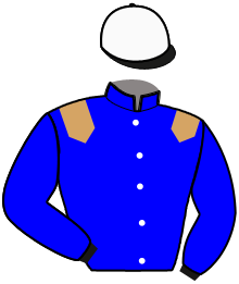 Casaque du n°1