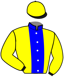 Casaque du n°3