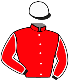 Casaque du n°14