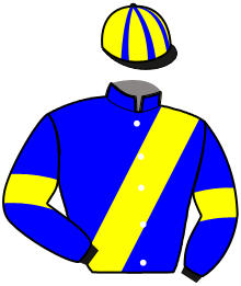 Casaque du n°15
