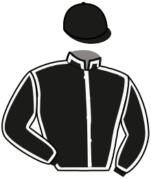 Casaque du n°6