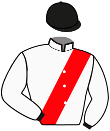 Casaque du n°8