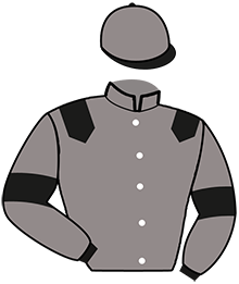 Casaque du n°15