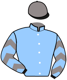 Casaque du n°1