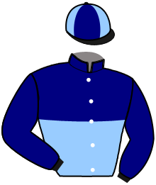 Casaque du n°11