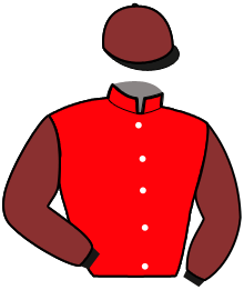 Casaque du n°12