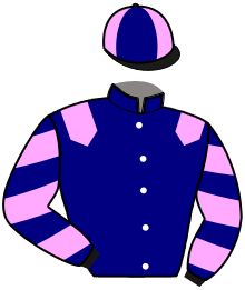 Casaque du n°3