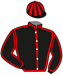 Casaque du n°5
