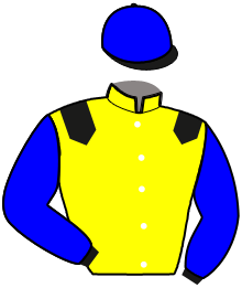 Casaque du n°9