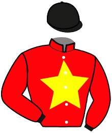 Casaque du n°10