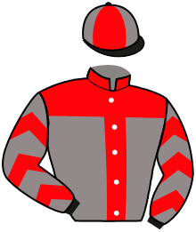 Casaque du n°11