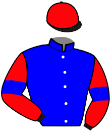 Casaque du n°13