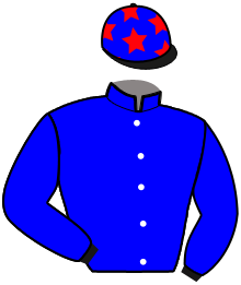 Casaque du n°16
