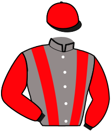 Casaque du n°4