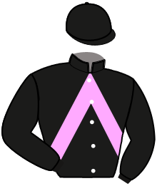 Casaque du n°6