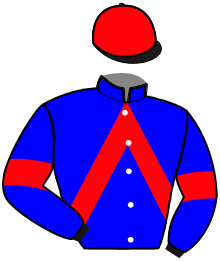 Casaque du n°9