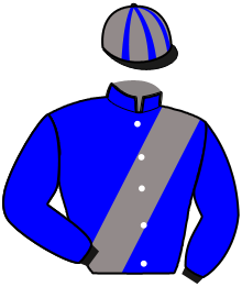 Casaque du n°12