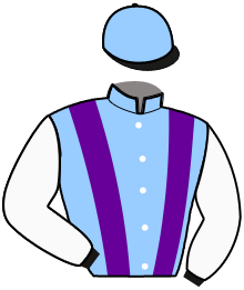 Casaque du n°15