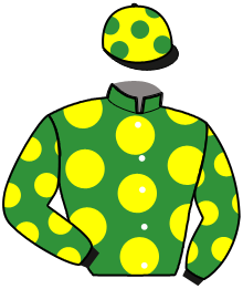 Casaque du n°17