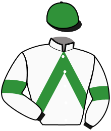 Casaque du n°3