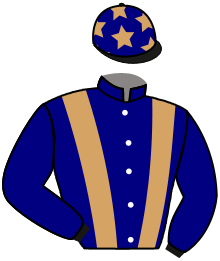 Casaque du n°10