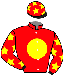 Casaque du n°6