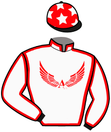 Casaque du n°1