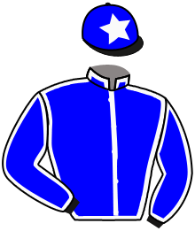 Casaque du n°7