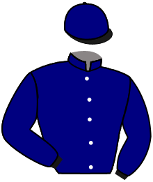 Casaque du n°2