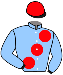 Casaque du n°11