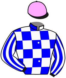 Casaque du n°13