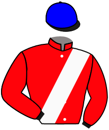 Casaque du n°4