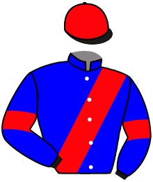 Casaque du n°6