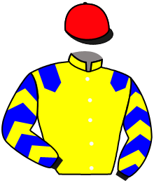 Casaque du n°7